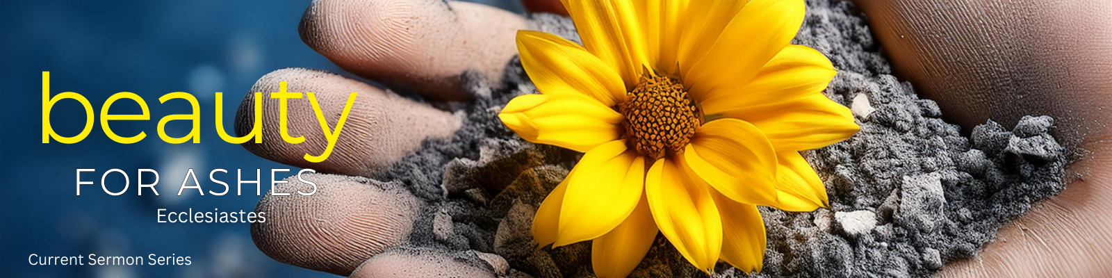 Beauty for Ashes Slider